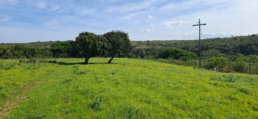 Commercial Property for Sale in Meisies Halt Eastern Cape